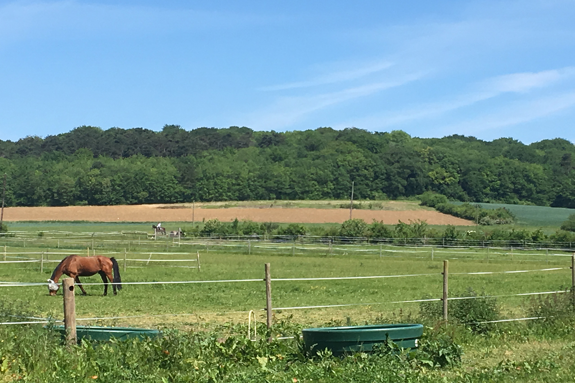 Paddock 1,5 ha